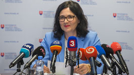 Lubyová z vákua v SAV nepriamo obvinila Kisku, Gröhling kritizuje SNS