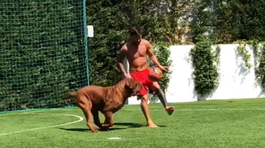 VIDEO: Messi vyzval na loptový súboj aj svojho psa. Dopadol ako väčšina obrancov