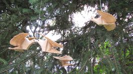 Majstri svojho remesla: Fujary i drevené holubice oprašujú tradície