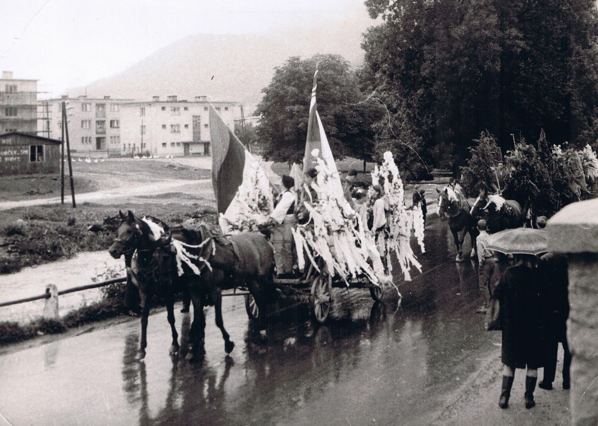 Prvý konský vozový sprievod na festivale...