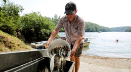 Vo švajčiarskom Rýne hynú v teplej vode tisíce rýb