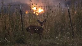 Ničivé požiare v Kalifornii sú najväčšie v histórii štátu