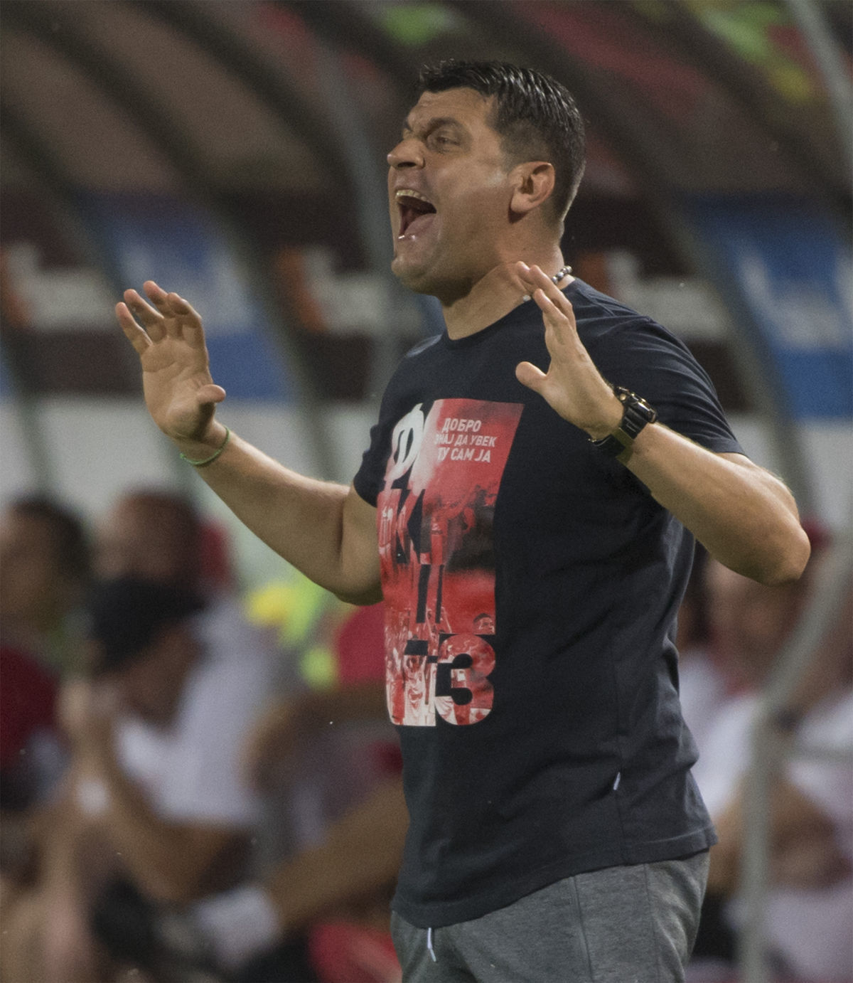 Tréner Crvenej zvezdy Belehrad Mladan Milojevič.