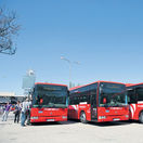 autobusy, regio, Slovak Lines