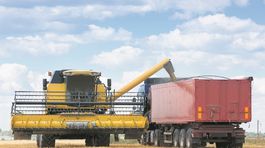 Európu zaplaví viac GMO 