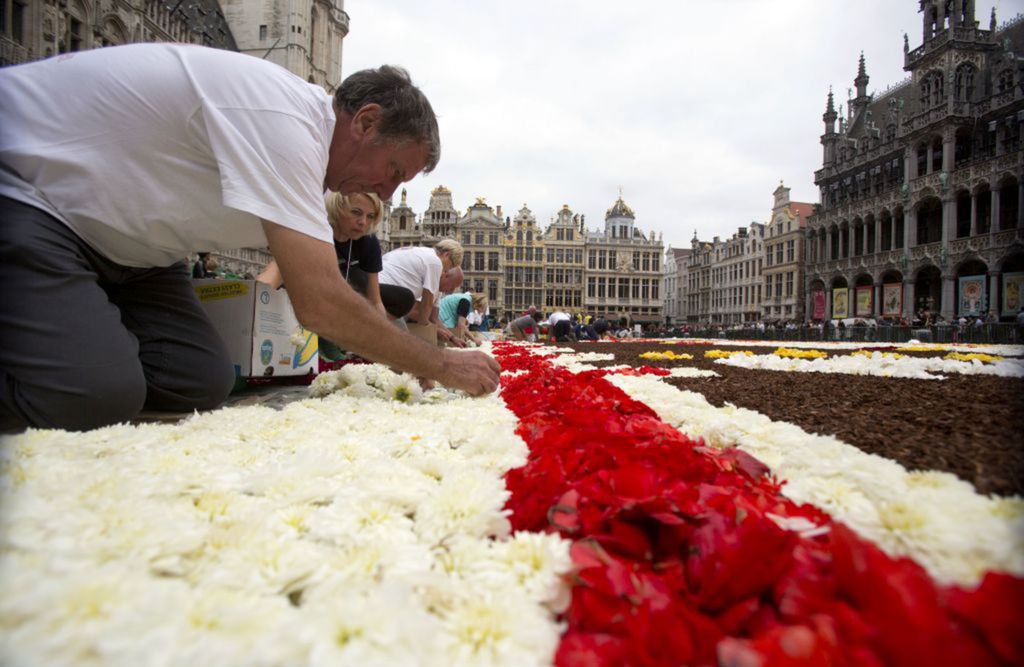 Belgicko Brusel kvetinový koberec