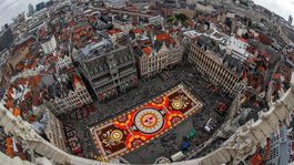 Brusel, kvetinový koberec