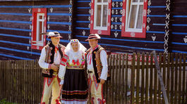 Pocta nášmu pánovi profesorovi Plickovi