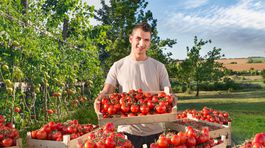 Slováci nakupujú viac slovenskej zeleniny a ovocia ako vlani