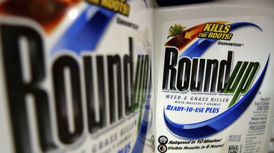 Bayer dostal na burze ťažkú ranu, potápa ho rozhodnutie súdu o Roundupe