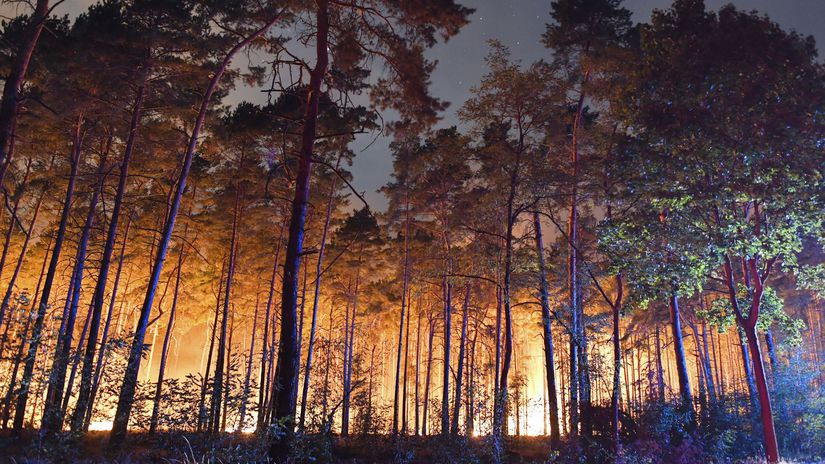 Nemecko požiar les hasič