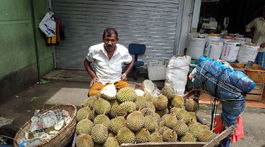 Srí Lanka durian duriany trh 