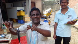 Srí Lanka trh ryba trhovník lietajúca ryba   