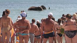 Kyjev sa nevzdáva sna o Kryme