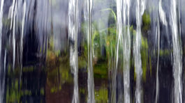 Proti hluku môže pomôcť aj vodná clona