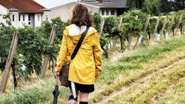 Vyskúšajte chuť jesene v Dolnom Rakúsku