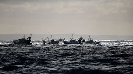 Pokusy Paríža o ukončenie 'hrebenatkovej vojny' s Britániou zlyhali