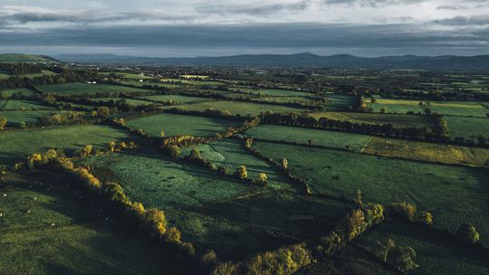 Vidiek grófstva Tipperary