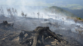 Požiar, ktorý spustošil les nad Polomkou, sa znova rozhorel