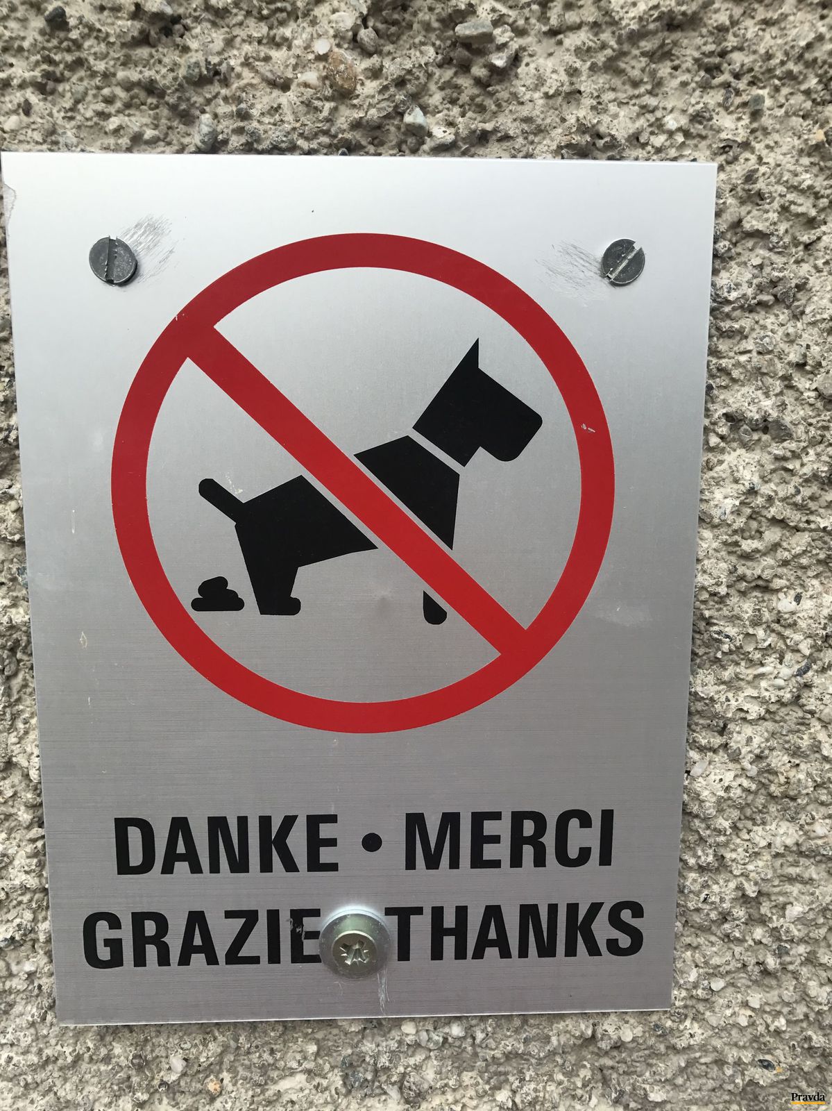 Aj psíky asi značke rozumejú.