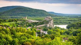 Devínska Kobyla ako hospodársky les? Absurdné, tvrdia ochranári