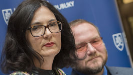 Lubyová nevidí dôvod na to, aby sa nestihla transformácia SAV