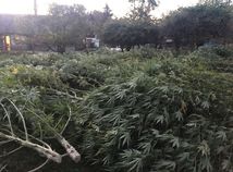 NAKA Dunajská Streda Galanta drogy marihuana