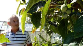 Manželia sa snažia o sebestačnosť - od jedla po kozmetiku