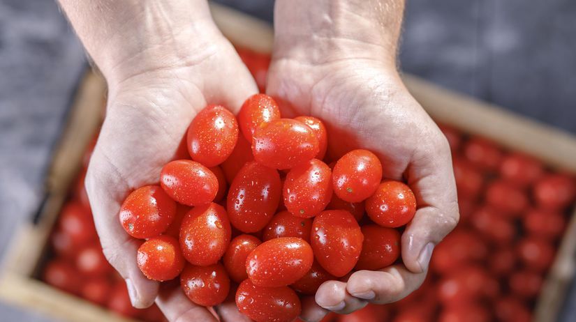 paradaky, cherry paradajky