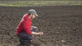 Slovenský pozemkový fond: Vydržanie pozemkov do vlastníctva
