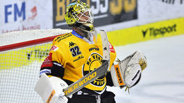 Večera zadarmo? To by som musel byť Lundqvist, smeje sa Janus