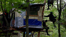 Nemecký súd na podnet ochranárov pozastavil kontroverzný výrub lesa