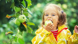 Jablko známe, a predsa nepoznané
