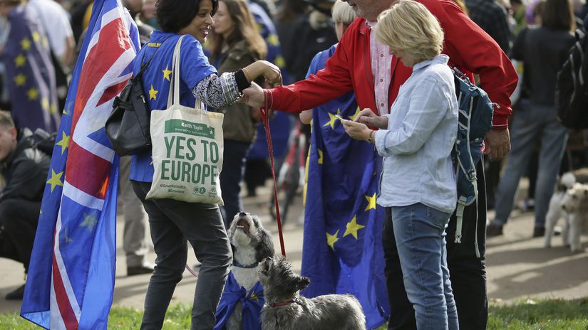 Brexit británia protest pes