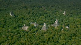 Slovenskí vedci odhalili princíp poľnohospodárstva starých Mayov