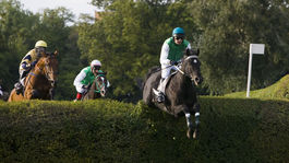 Veľkú pardubickú ovládol pri premiére Tzigane Du Berlais, piaty triumf Faltejska 