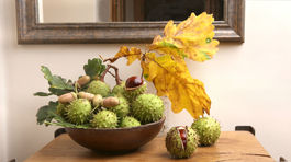 Prineste si jesenné dekorácie do bytu priamo z prírody! Sú nádherné