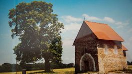  Stromom roka sa stala 235-ročná lipa z Kopčian