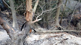 V Gaderskej doline hasiči zasahujú už piaty deň