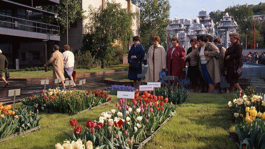 Flóra, PKO, kvety, výstava kvetov