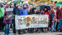 Iniciatíva My sme les zorganizovala prvú demonštráciu za ochranu lesov