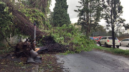 Búrka v Taliansku si vyžiadala už osem mŕtvych, Janov uzavrel letisko