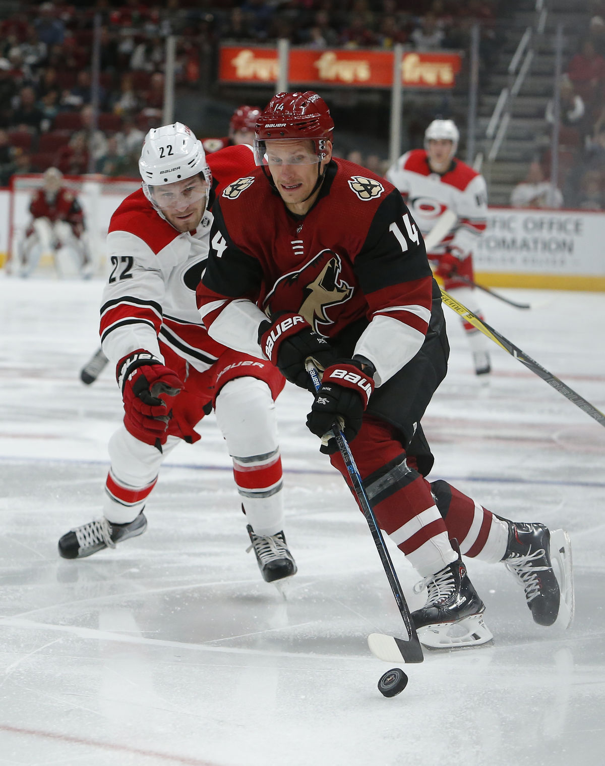 Richard Pánik z Arizony a Brett Pesce z Caroliny.