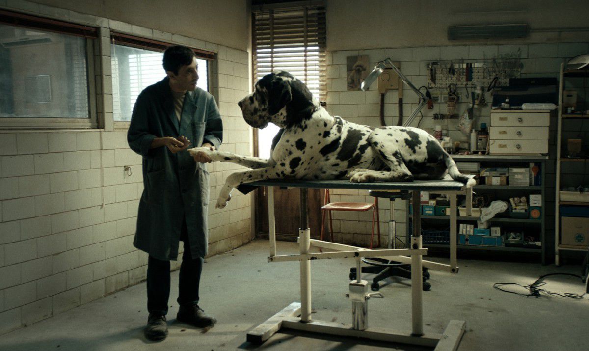 Marcello Fonte v Dogmanovi.