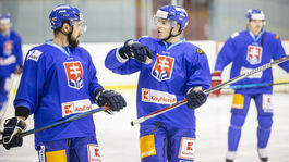 Šatan a Ramsay oznámili nomináciu. Sú v nej aj traja nováčikovia