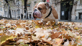 Martin príde bez bieleho koňa, teplé počasie pretrváva