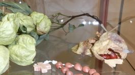 Príroda je najoriginálnejší šperkársky majster, tvrdia v Tihányiovskom kaštieli 