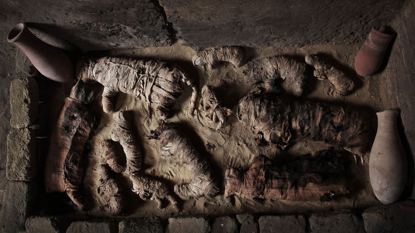 Egypt Káhira mačky mumifikované hrobky nález