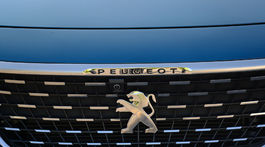 Peugeot 5008 GT