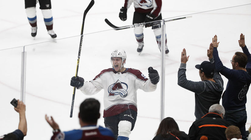 Avalanche Ducks Hockey